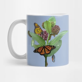 Monarch Lifecycle Egg Caterpillar Chrysalis Butterfly Mug